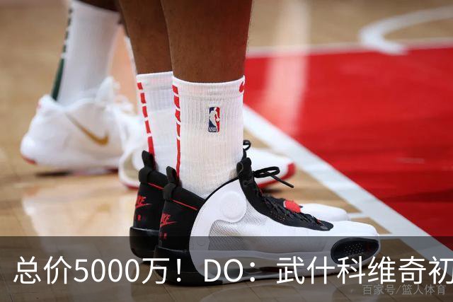 总价5000万！DO：武什科维奇初始转会费4600万镑，热刺有二转分成