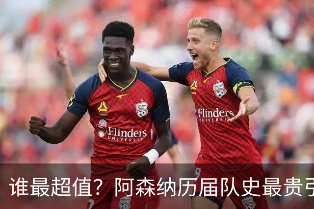 谁最超值？阿森纳历届队史最贵引援实力对比